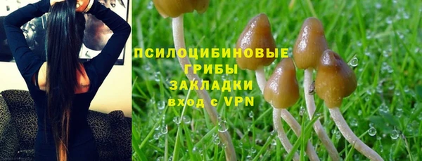 сатива Рославль