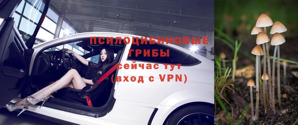 соль ск Верея